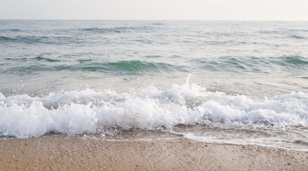 It all started with a dream to bring the wellness secret of Sea Moss back to South Africa - vitalitymoss