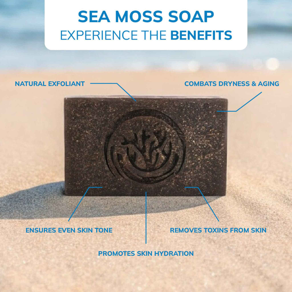 Sea moss soap benefits 