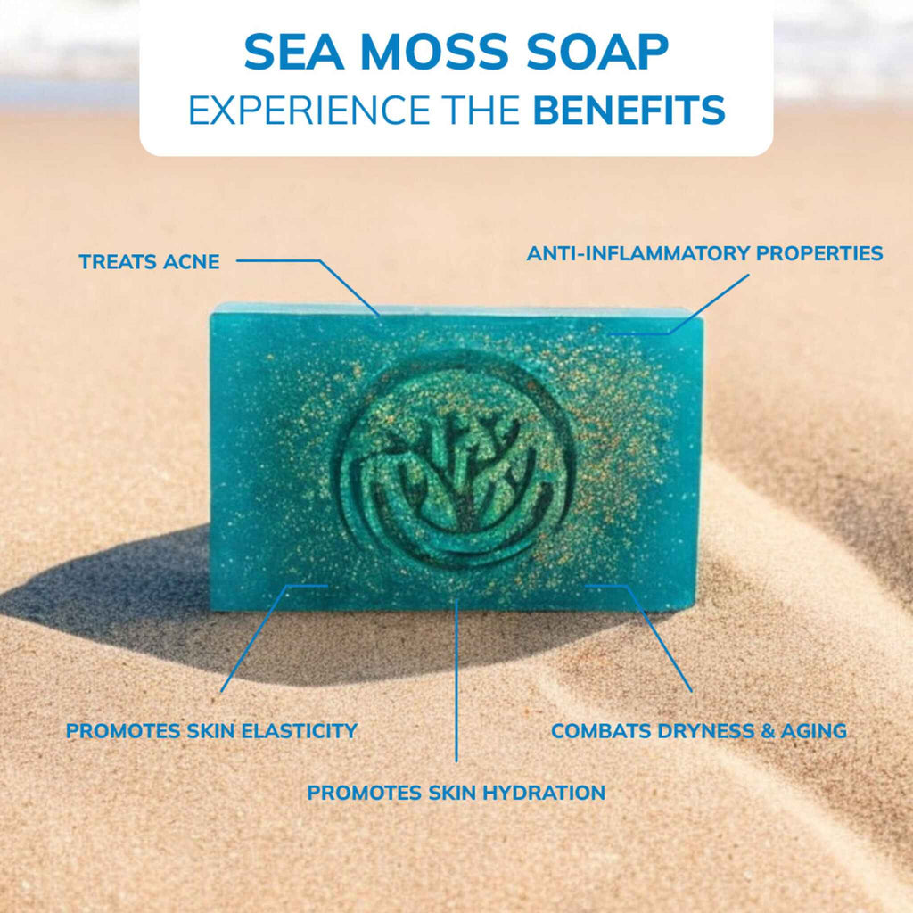 Ocean Breeze – Sea Moss & Cornflower Soap - vitalitymoss